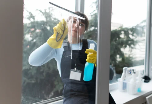 Nettoyage de vitres intérieures et extérieures à Roumengoux